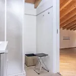 Appartement Mansarda Open Space *