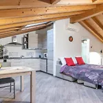 Mansarda Open Space Appartement Cento (Emilia-Romagna)